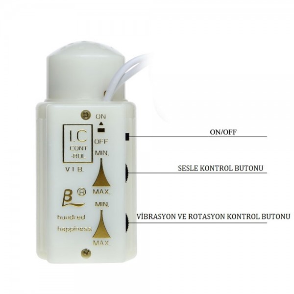 21cm Oynarbaşlı Titreşimli Çift Girişli Realistik Penis