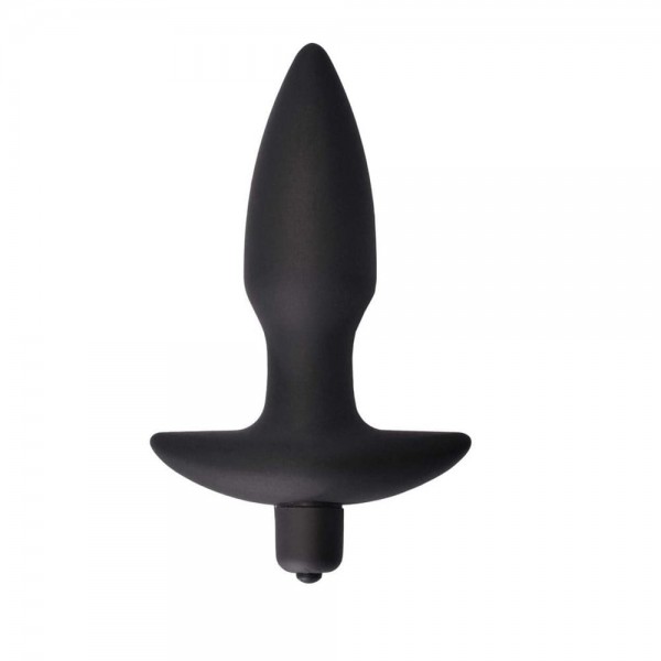 10 Fonksiyonlu Titreşimli Anal Plug