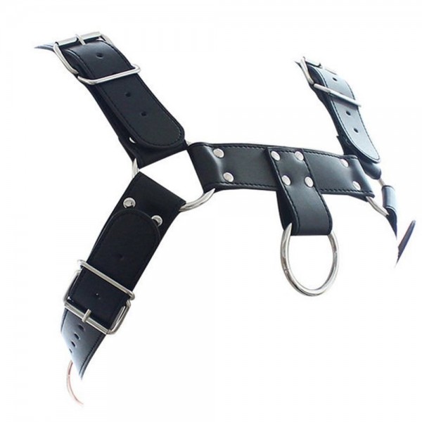 Fetish Dream Erkek Harness Sentetik Deri Kemer